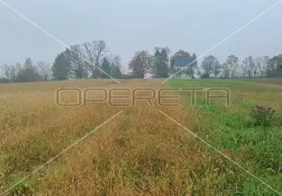 Građevinsko zemljište 4.165 m², Pisarovina okolica, lako pristupačno