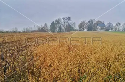 Building land 4,165 m², Pisarovina area, easily accessible - 2