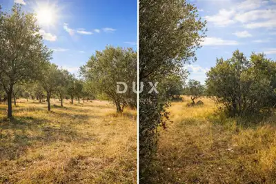 Agricultural land, Vodnjan - quiet location and fenced gate - 3