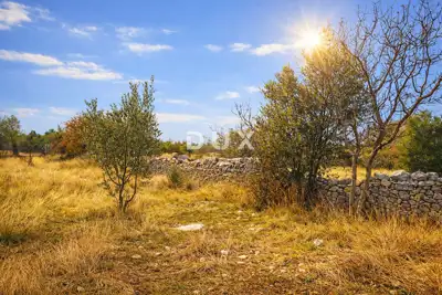 Agricultural land, Vodnjan - quiet location and fenced gate - 2