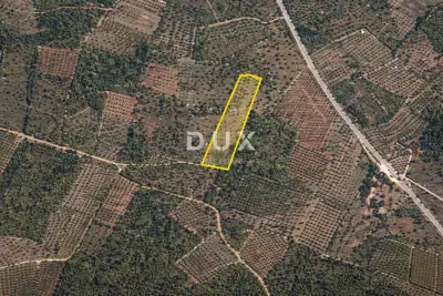 Agricultural land, Vodnjan - quiet location and fenced gate - 4