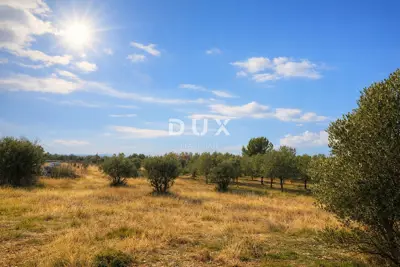 Agricultural land, Vodnjan - quiet location and fenced gate - 1