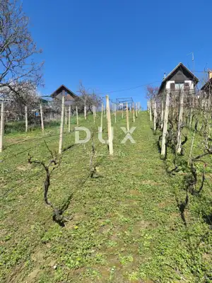 Grundstück mit Häuschen, Mikulići - ruhiges Grün und Blick auf die Natur - 4