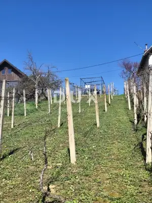 Grundstück mit Häuschen, Mikulići - ruhiges Grün und Blick auf die Natur - 5