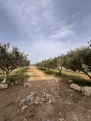 ZADAR, NIN - Doppelhaus mit zwei Maisonettewohnungen und Pools - 12