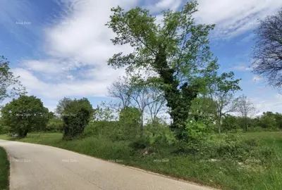 Prodaje se građevinsko zemljište, Višnjan. Idealno za gradnju 20 kuća za odmor. - 13