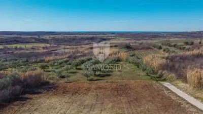 Land 1,032 m², Buje - open sea view - 3