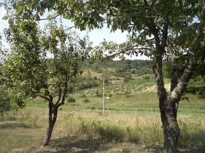 Građevinsko zemljište, Poreč, mirna lokacija i pogled na prirodu