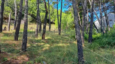 Baugrundstück 791 m², Rab - ruhige mediterrane Lage - 3