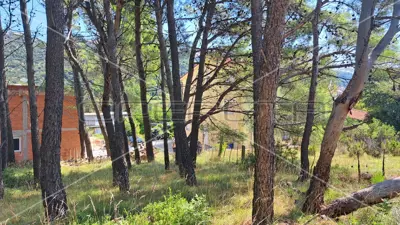 Baugrundstück 791 m², Rab - ruhige mediterrane Lage - 4