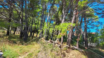 Baugrundstück 791 m², Rab - ruhige mediterrane Lage - 2
