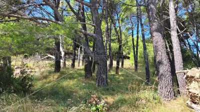 Građevinsko zemljište 791 m², Rab - mirna mediteranska lokacija