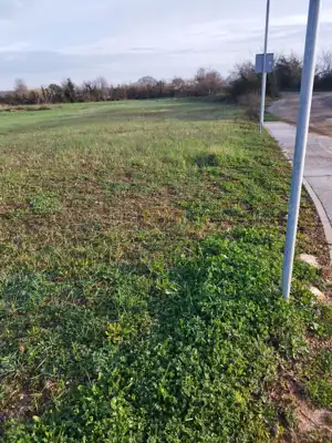 Poljoprivredno zemljište u Ližnjanu, 300 m od plaže - 2