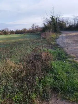 Poljoprivredno zemljište u Ližnjanu, 300 m od plaže - 6