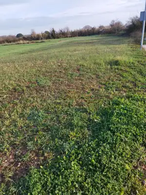 Poljoprivredno zemljište u Ližnjanu, 300 m od plaže - 3