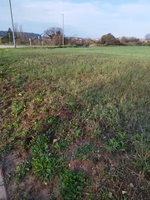 Poljoprivredno zemljište u Ližnjanu, 300 m od plaže