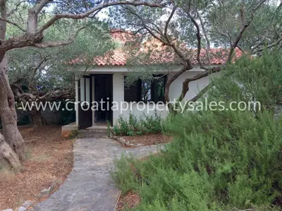 Haus auf der Insel Brač, privates Grundstück und Grünfläche - 2
