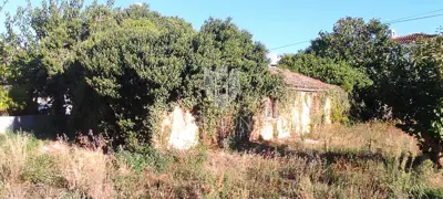 Zemljište, Poreč okolica, 100 m od mora i projekt kuće - 3