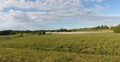 Građevinsko zemljište 7 159 m², Brtonigla - izuzetna lokacija