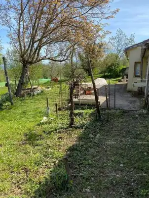 Haus, Stari Pazin, Pazin, mit asphaltiertem Zugang und Grundstück rund ums Haus - 6