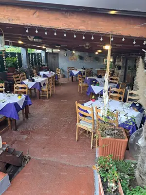 Hospitality facility and apartments, Umag, investment with a large terrace - 8