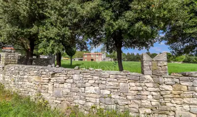 House for sale in Kanfanar, 400 m² - 11