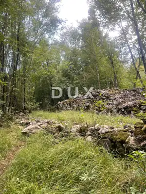 VIŠKOVO, MARČELJI - 10,317 m² of agricultural land in a peaceful setting
