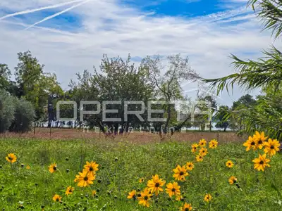 Land plot for sale in Novigrad