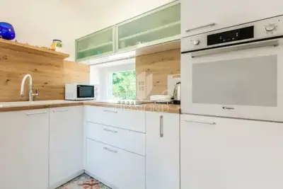Kanfanar, okolica, renovirane kamene kuće s dvorištem - 8