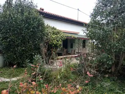Exclusive location only 200 m from the sea, Umag, opportunity - 2