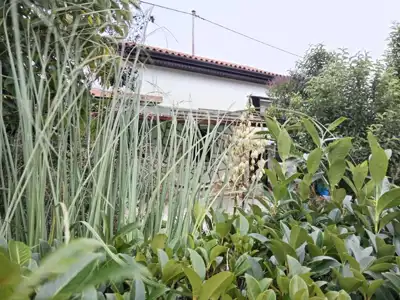Ekskluzivna lokacija samo 200 m od mora, umag, prilika