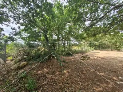 Agricultural land 600 m², Jadreški, near Pula - 4