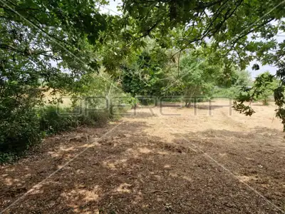 Agricultural land 600 m², Jadreški, near Pula - 7