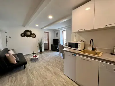 Stan 52 m², Rovinj, stari grad i dvije terase - 8