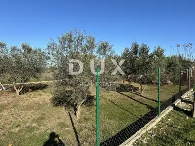 CRNO, ZADAR - Eingezäuntes Grundstück mit Gartenhaus! - 16