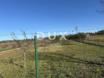 CRNO, ZADAR - Eingezäuntes Grundstück mit Gartenhaus! - 4