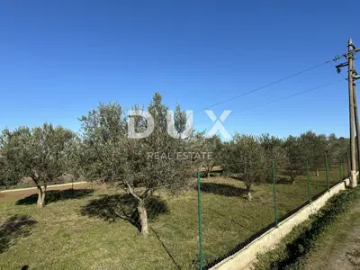 CRNO, ZADAR - Eingezäuntes Grundstück mit Gartenhaus! - 14