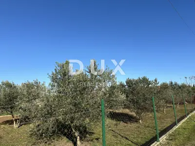 CRNO, ZADAR - Eingezäuntes Grundstück mit Gartenhaus! - 2