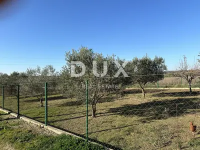 CRNO, ZADAR - Eingezäuntes Grundstück mit Gartenhaus! - 3