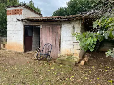 House, Škatari near Pula, investment for renovation and construction - 6
