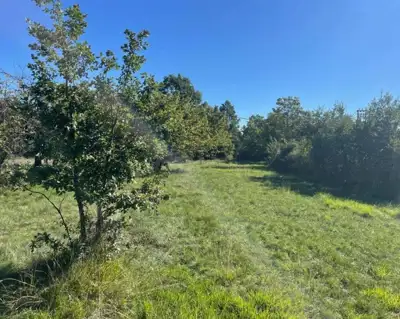 Building land, Grožnjan - 3 km from the center, asphalt access - 2