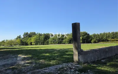 Grundstück 5.895 m², Barban - asphaltierter Zugang und Parzellierung - 6