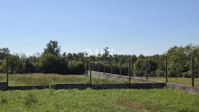 Grundstück 5.895 m², Barban - asphaltierter Zugang und Parzellierung - 3