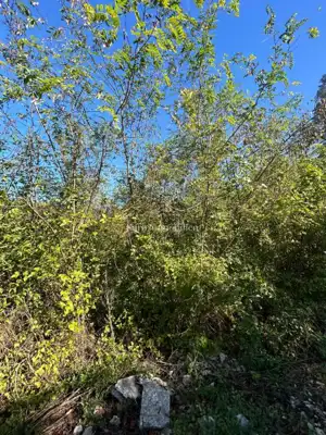 Građevinsko zemljište, Viškovo - 2.611 m² - 3