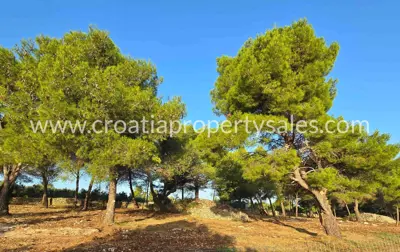Poljoprivredno zemljište 5.385 m², Otok Brač, pogled na more - 3