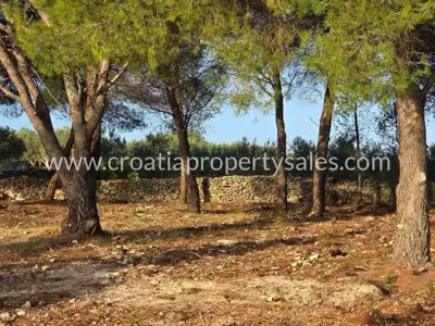 Poljoprivredno zemljište 5.385 m², Otok Brač, pogled na more - 4