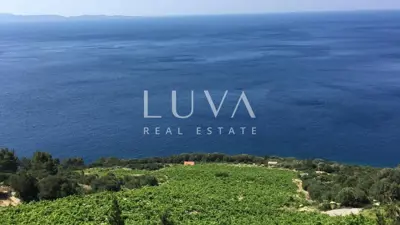 Pelješac, Potomje, Grundstück 50.000 m² mit Weinberg