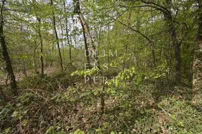 Oporovec, Gornja Dubrava, Oporovec-poljoprivredno zemljište-šuma, 920 - 5