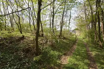 Oporovec, Gornja Dubrava, Oporovec-poljoprivredno zemljište-šuma, 920 - 2