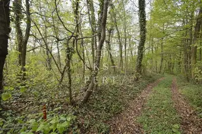 Oporovec, Gornja Dubrava, Oporovec-poljoprivredno zemljište-šuma, 920